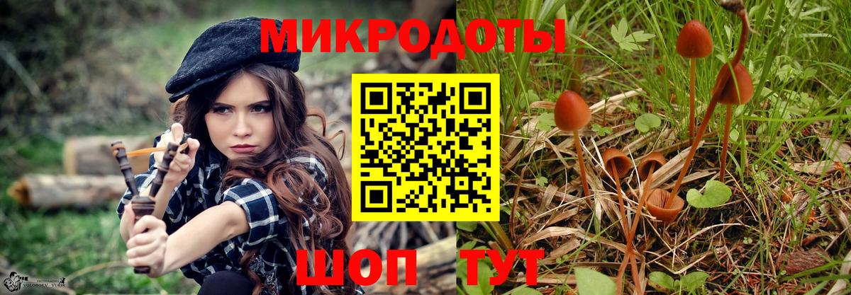 Псилоцибиновые грибы Psilocybine cubensis Нижний Новгород