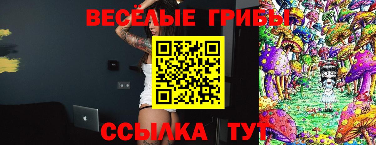 наркота  Вход с VPN  Нижний Новгород  Псилоцибиновые грибы мицелий 